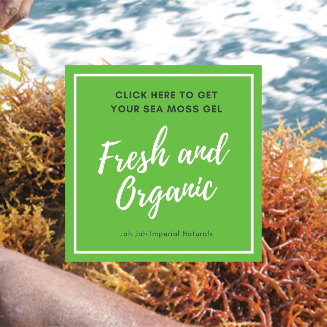 Get your Sea Moss Gel Here